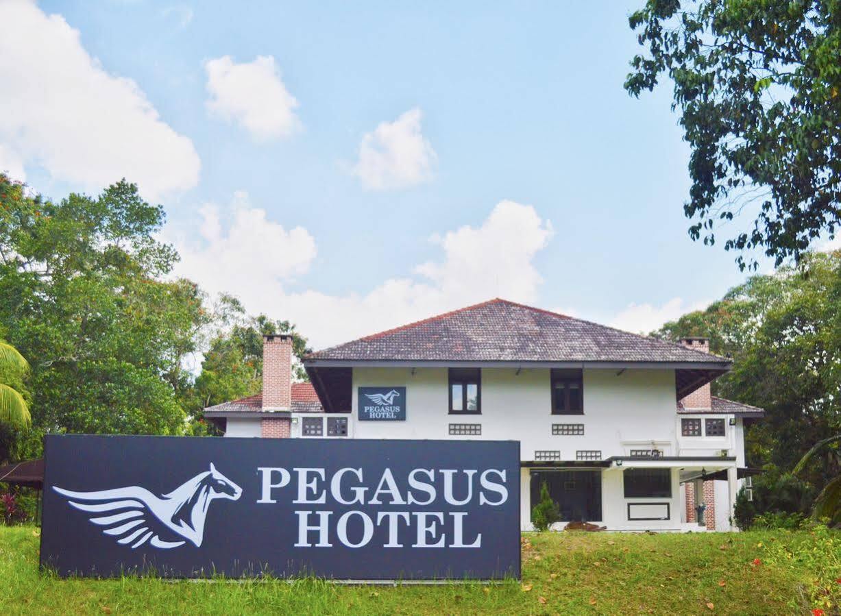 Oyo 104 Pegasus Hotel Singapore Bagian luar foto
